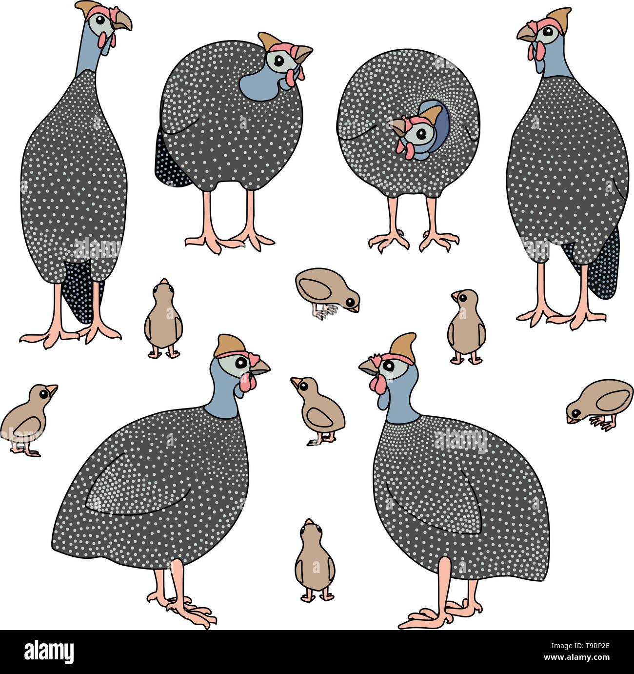 vector scandi cartoon animal clip art guineafowl birds Stock Vector