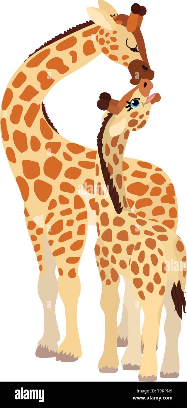 vector flat cartoon animal clip art giraffes family Stock Vector