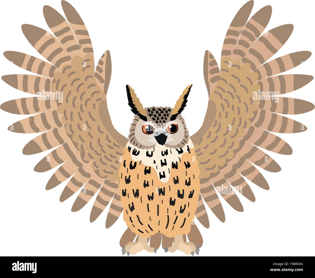 Vector Flat Cartoon Animal Clip Art Eagle Owl Bird Stock Vector