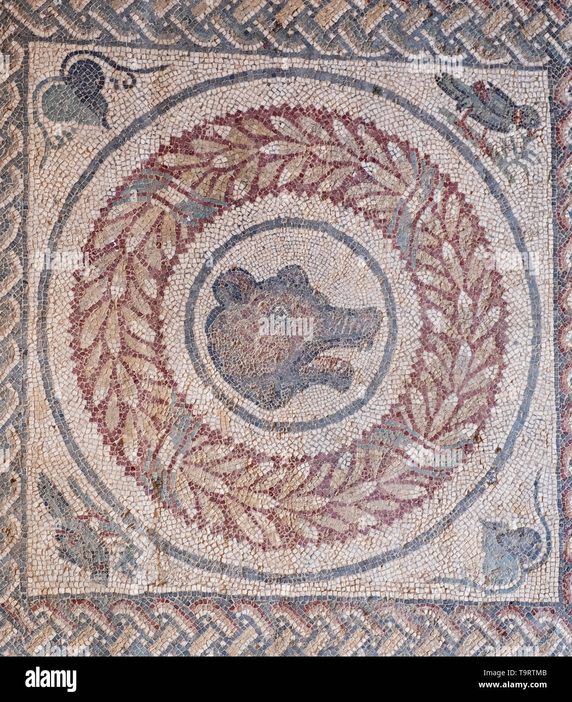 Ancient Roman Mosaic Floor High Resolution Stock Photography and Images ...