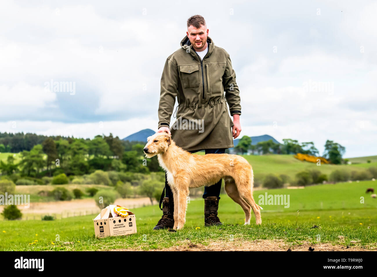 lurcher and terrier shows 2019