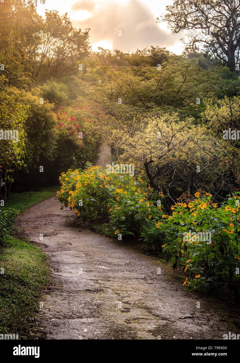 Footpath at a resort near Rincon de la Vieja National Park in Costa Rica Stock Photo