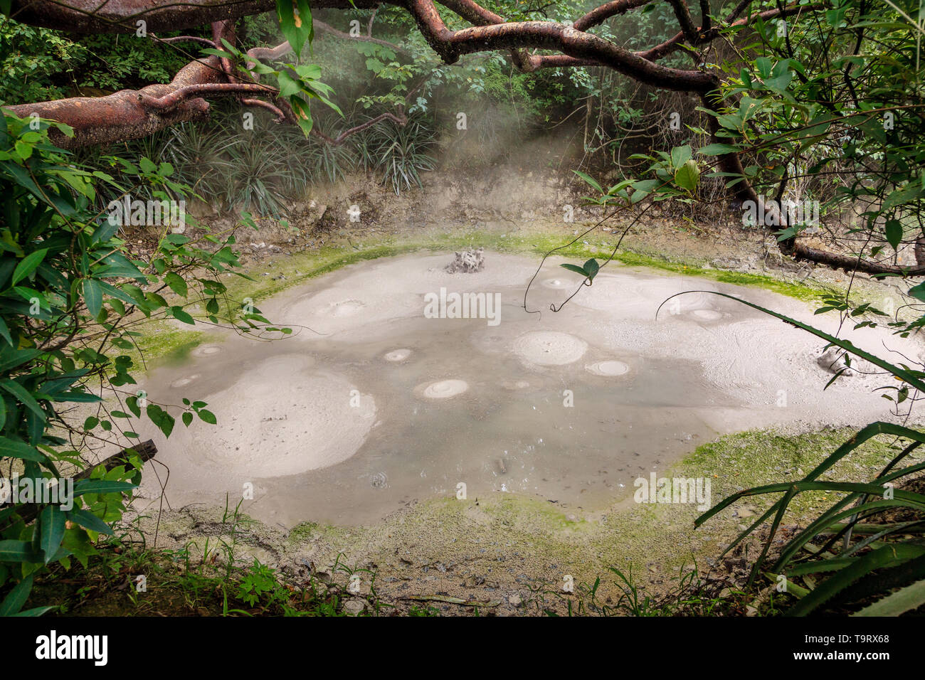 View of boiling mud pot in Rincon de la Vieja National Park in Costa Rica Stock Photo