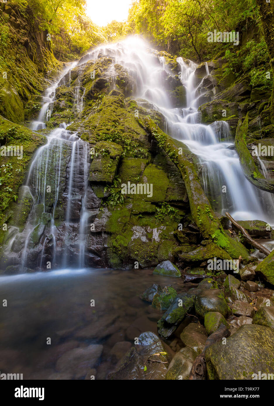 Scenic view of a waterfall in Rincon de la Vieja National Park, Costa Rica Stock Photo