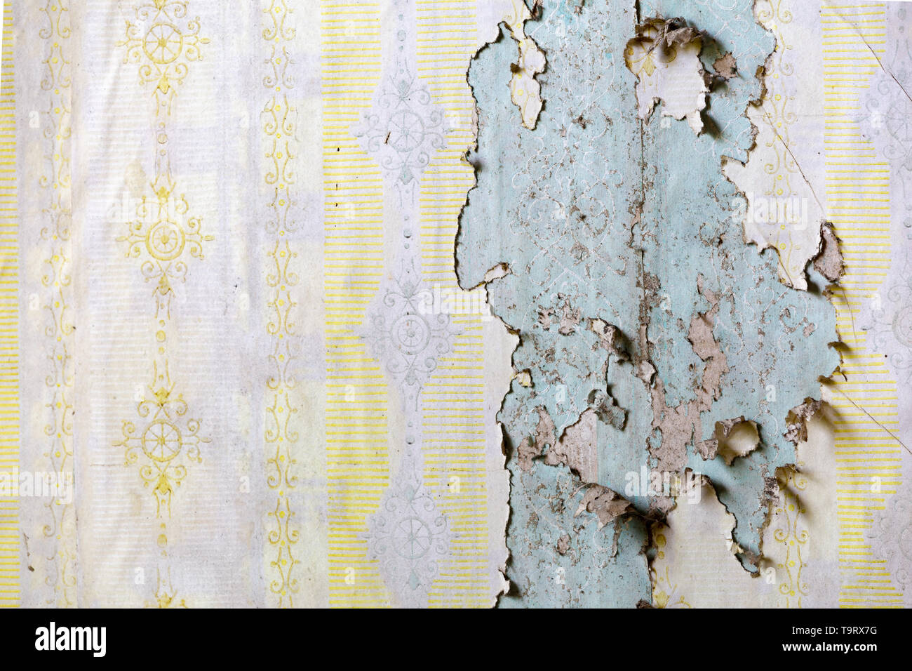 Texture of yellow wallpaper peeling form a wall on a wall in an abandoned house Stock Photo - Alamy Texture of yellow wallpaper peeling form a wall on a wall in an abandoned house Stock Photo - Alamy