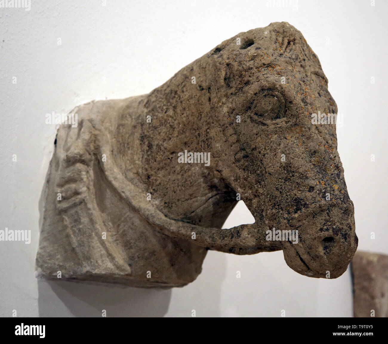 Head of an Iberian horse. 4th century. Marchena, Spain. Pre-roman peoples. Archaeological Museum of Seville. Spain. Stock Photo