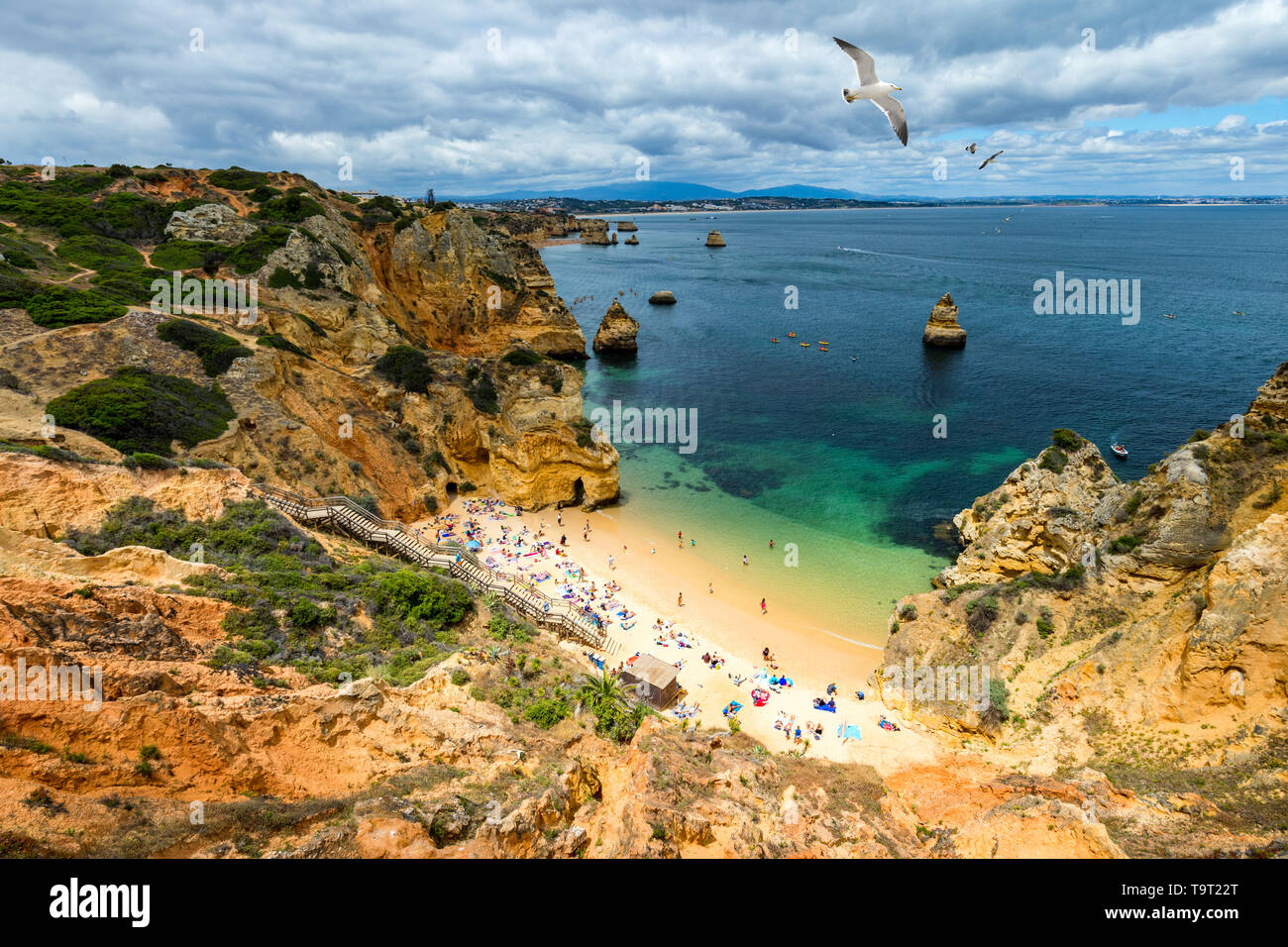 Camilo beach (Praia do Camilo) with seagulls flying over the rocks in ...