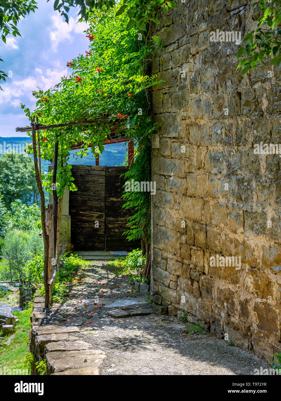 Artist's place and mountain village of Groznjan, Istrien, Croatia, Europe, Künstlerort und Bergdorf Groznjan, Kroatien, Europa Stock Photo