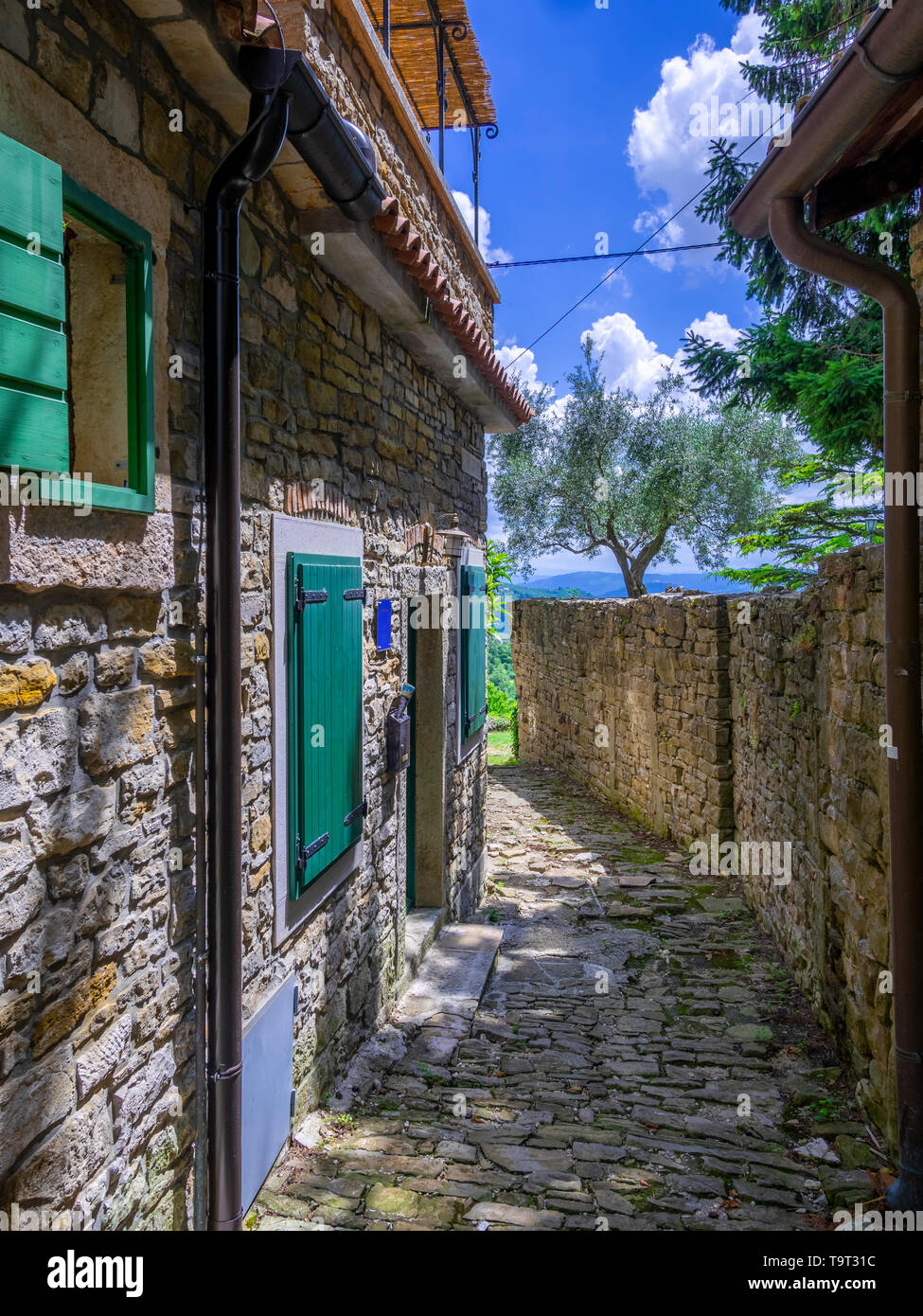 Artist's place and mountain village of Groznjan, Istrien, Croatia, Europe, Künstlerort und Bergdorf Groznjan, Kroatien, Europa Stock Photo