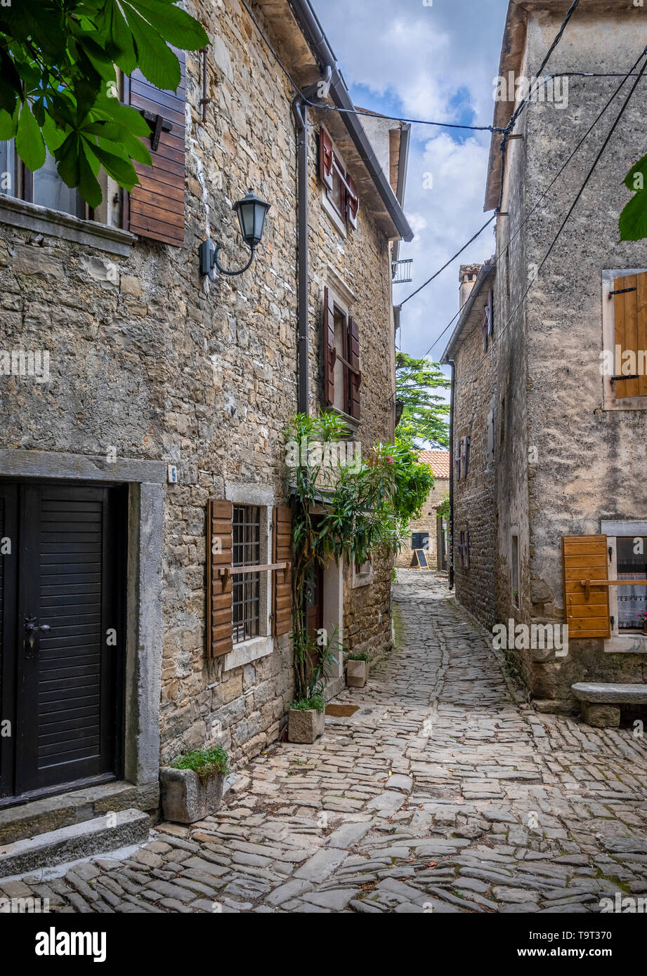 Artist's place and mountain village of Groznjan, Istrien, Croatia, Europe, Künstlerort und Bergdorf Groznjan, Kroatien, Europa Stock Photo