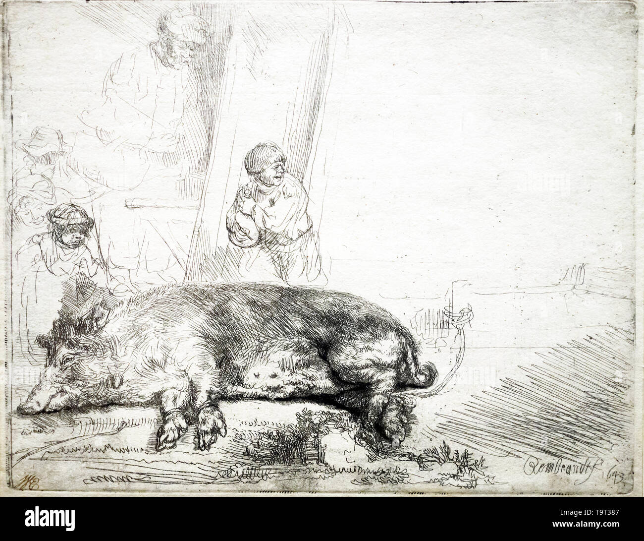 Etching 17th century hi-res stock photography and images - Alamy