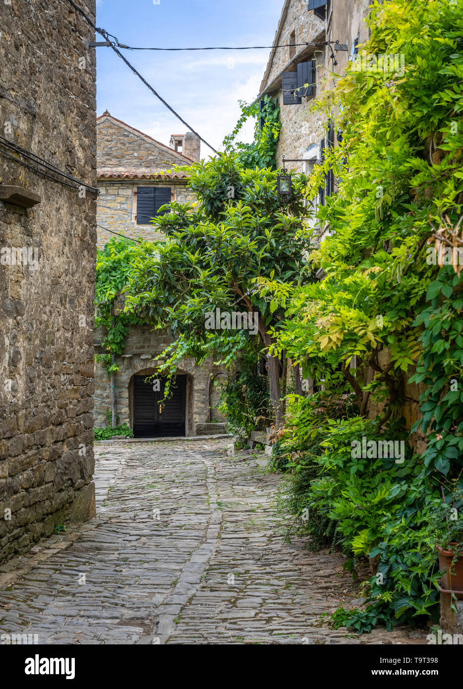 Artist's place and mountain village of Groznjan, Istrien, Croatia, Europe, Künstlerort und Bergdorf Groznjan, Kroatien, Europa Stock Photo