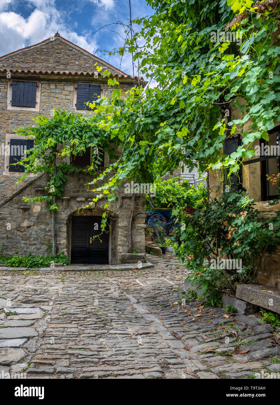 Artist's place and mountain village of Groznjan, Istrien, Croatia, Europe, Künstlerort und Bergdorf Groznjan, Kroatien, Europa Stock Photo