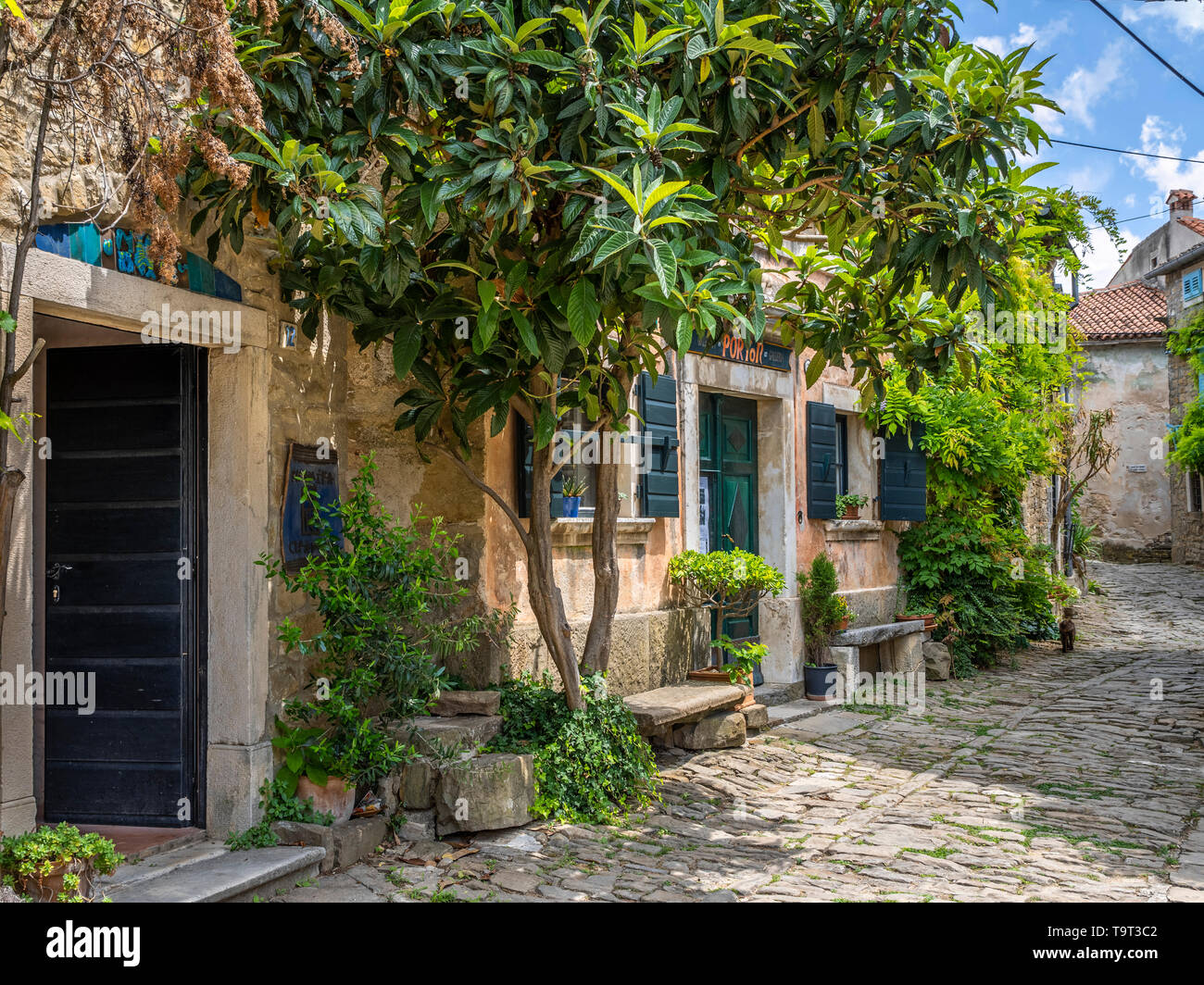 Artist's place and mountain village of Groznjan, Istrien, Croatia, Europe, Künstlerort und Bergdorf Groznjan, Kroatien, Europa Stock Photo