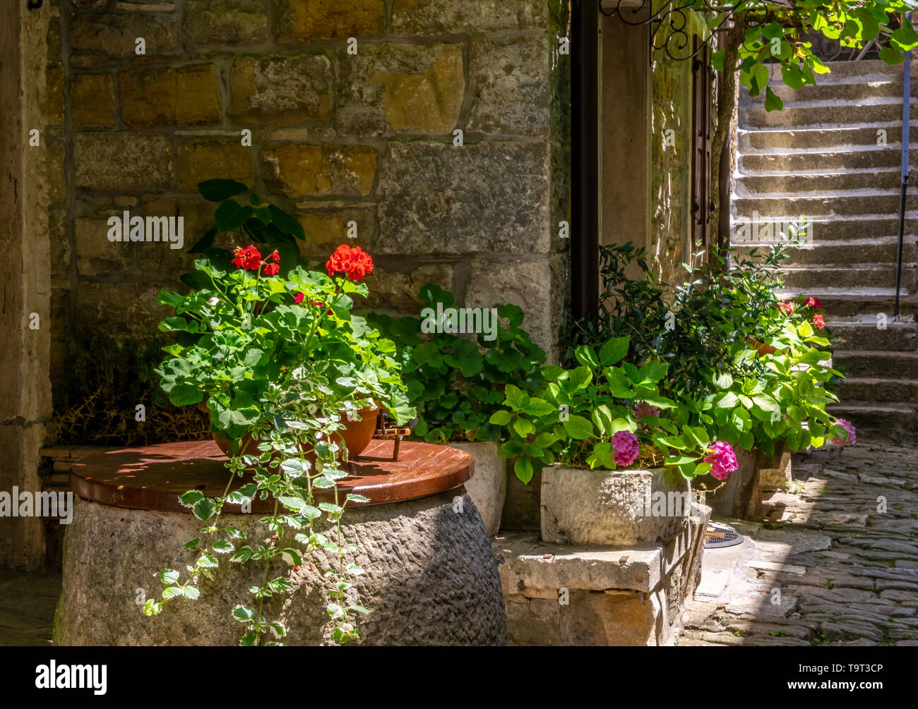 Artist's place and mountain village of Groznjan, Istrien, Croatia, Europe, Künstlerort und Bergdorf Groznjan, Kroatien, Europa Stock Photo