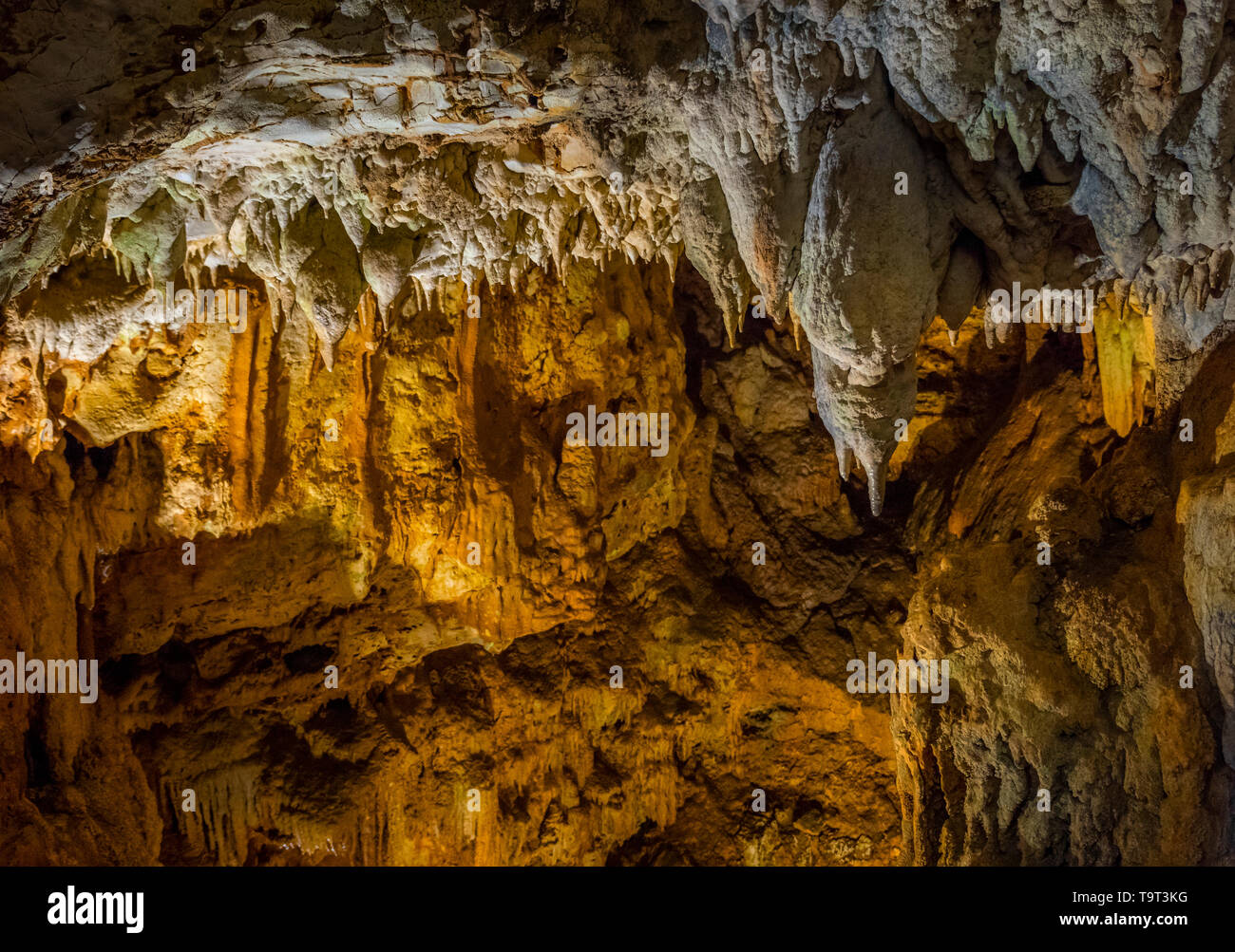 Jama Baredine, limestone cave, Nova Vas, Porec, Istrien, Croatia, Europe, Tropfsteinhöhle, Kroatien, Europa Stock Photo