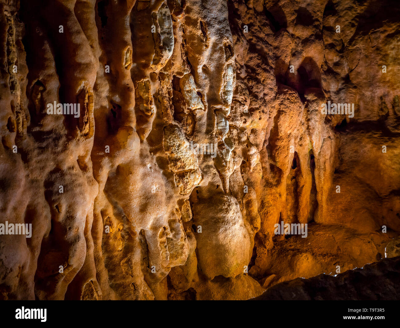 Jama Baredine, limestone cave, Nova Vas, Porec, Istrien, Croatia, Europe, Tropfsteinhöhle, Kroatien, Europa Stock Photo