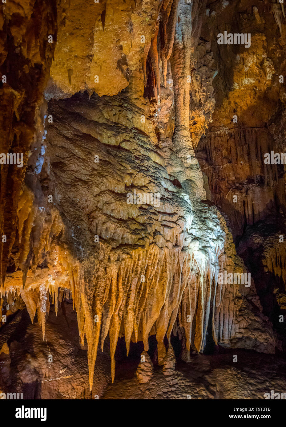 Jama Baredine, limestone cave, Nova Vas, Porec, Istrien, Croatia, Europe, Tropfsteinhöhle, Kroatien, Europa Stock Photo