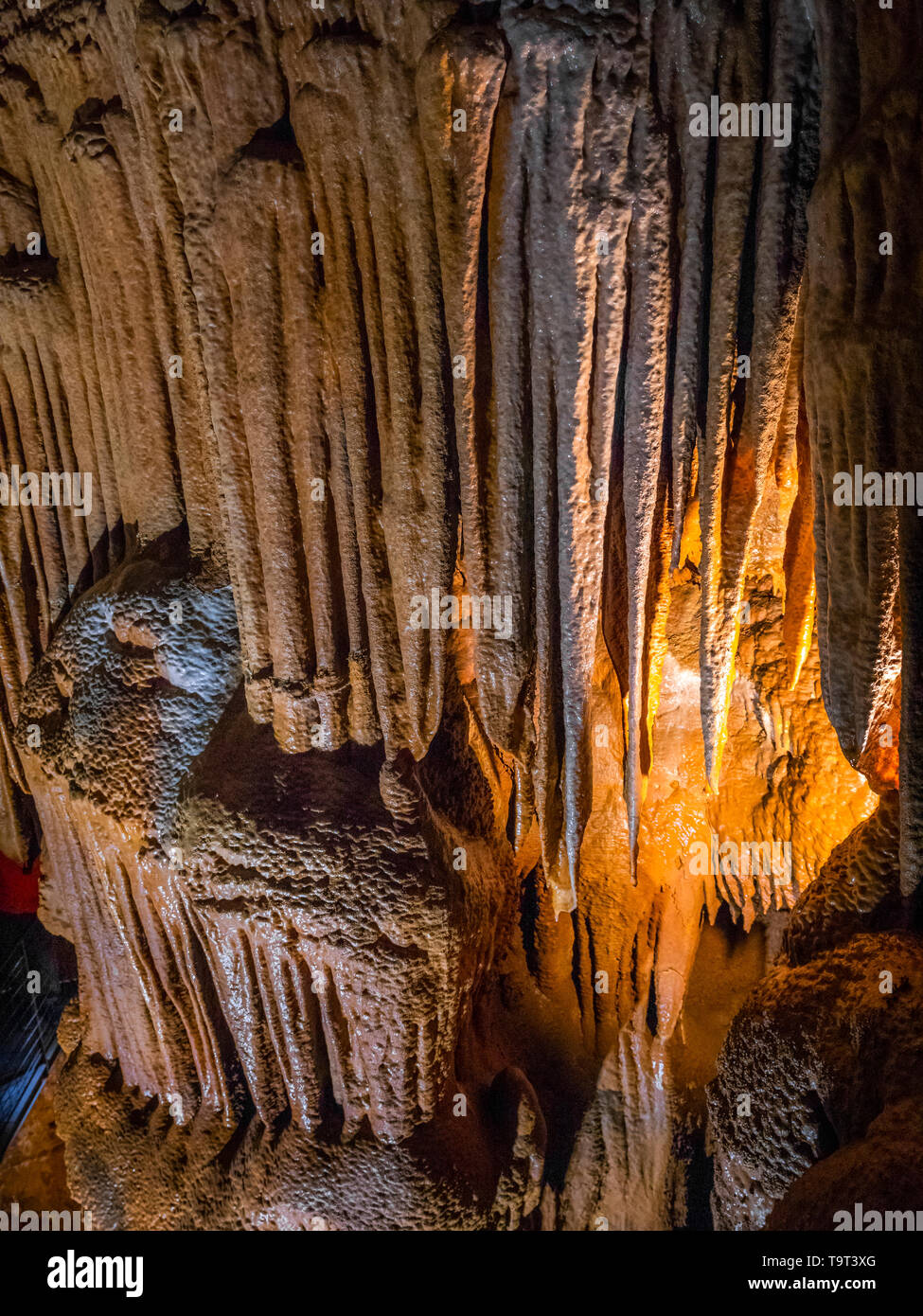 Jama Baredine, limestone cave, Nova Vas, Porec, Istrien, Croatia, Europe, Tropfsteinhöhle, Kroatien, Europa Stock Photo