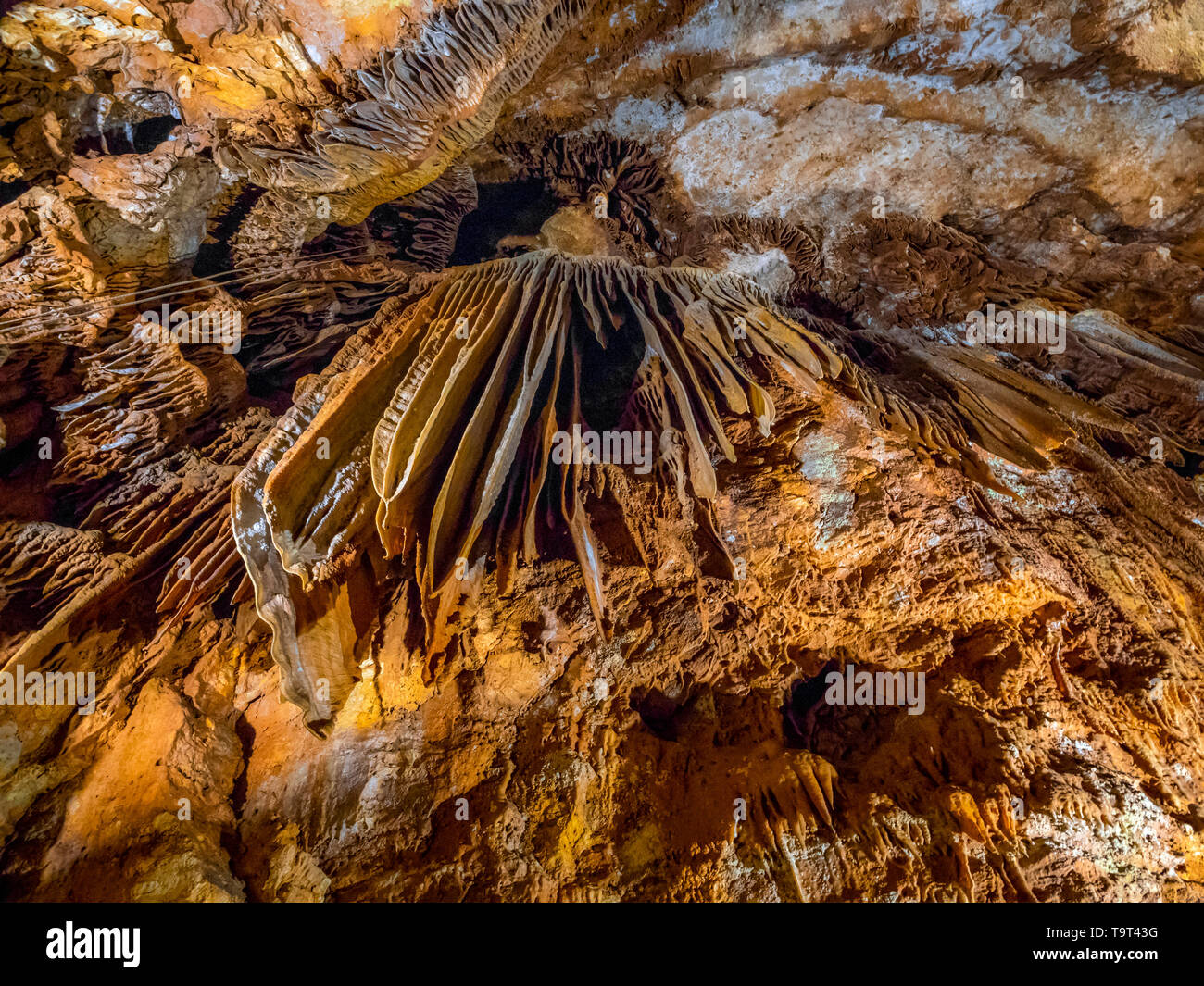 Jama Baredine, limestone cave, Nova Vas, Porec, Istrien, Croatia, Europe, Tropfsteinhöhle, Kroatien, Europa Stock Photo