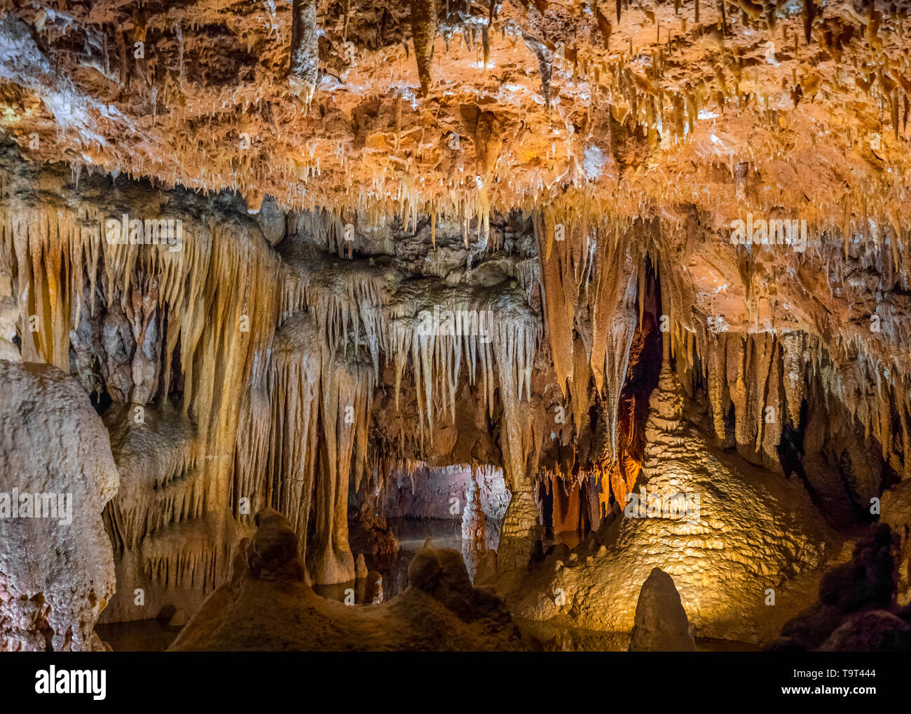 Jama Baredine, limestone cave, Nova Vas, Porec, Istrien, Croatia, Europe, Tropfsteinhöhle, Kroatien, Europa Stock Photo