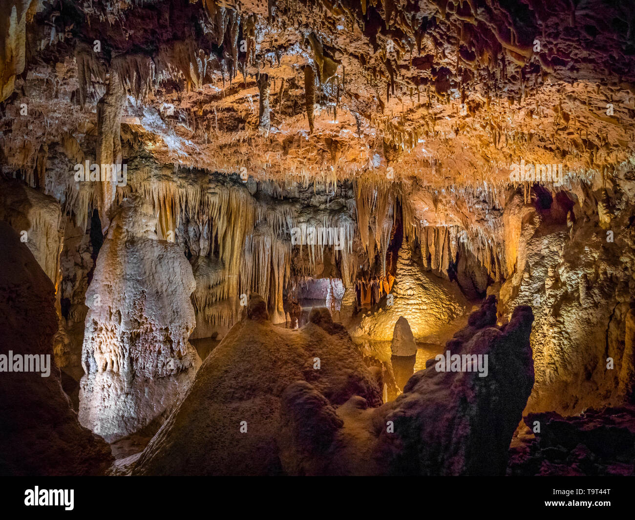 Jama Baredine, limestone cave, Nova Vas, Porec, Istrien, Croatia, Europe, Tropfsteinhöhle, Kroatien, Europa Stock Photo