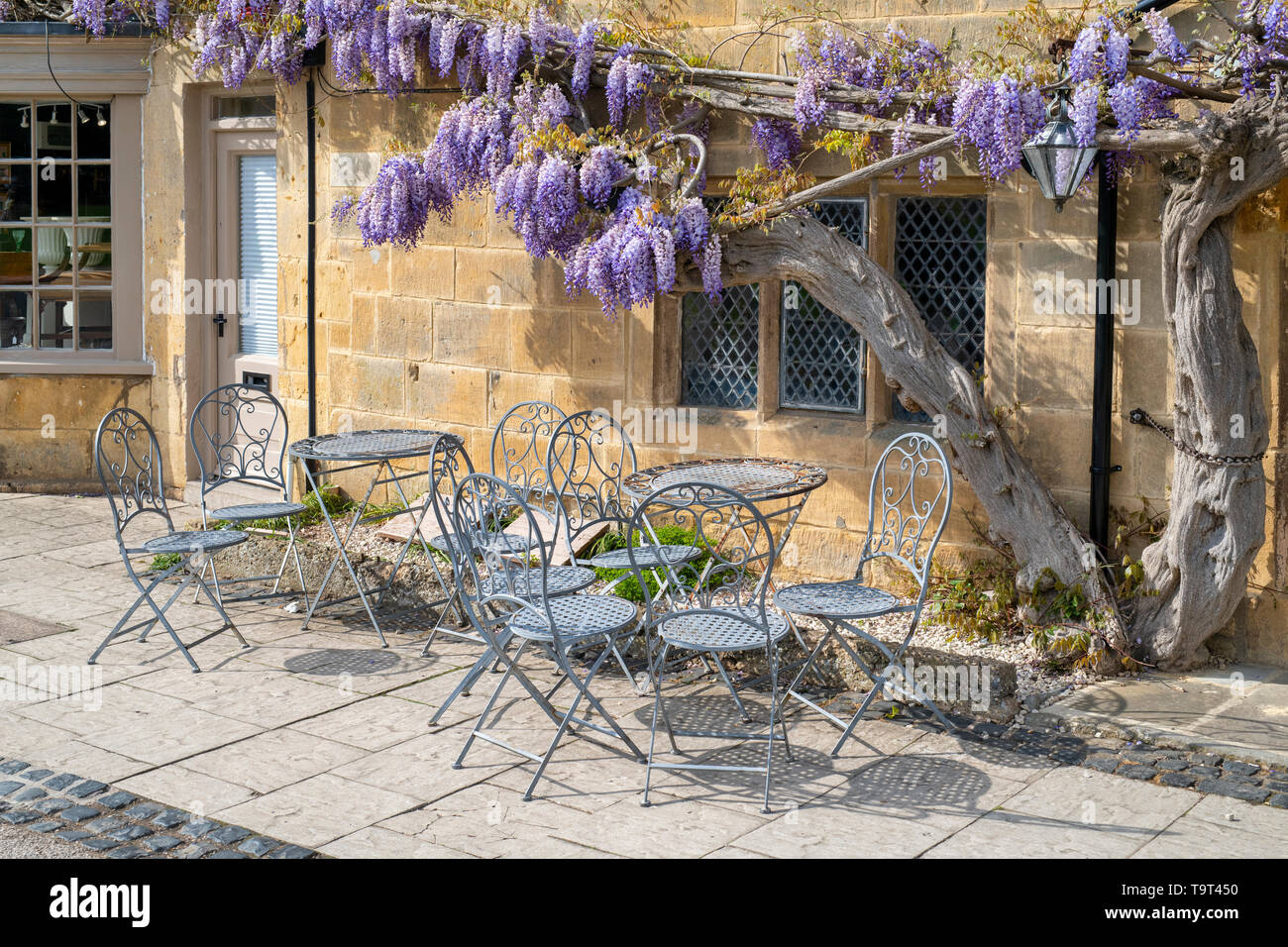 Wisteria on a cotswold stone cottage and bistro. Broadway, Cotswolds, Worcestershire, England Stock Photo