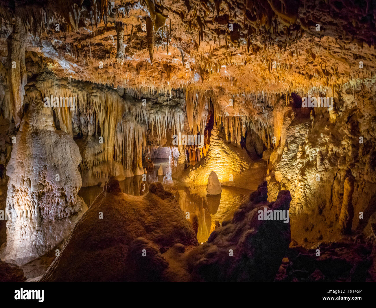 Jama Baredine, limestone cave, Nova Vas, Porec, Istrien, Croatia, Europe, Tropfsteinhöhle, Kroatien, Europa Stock Photo