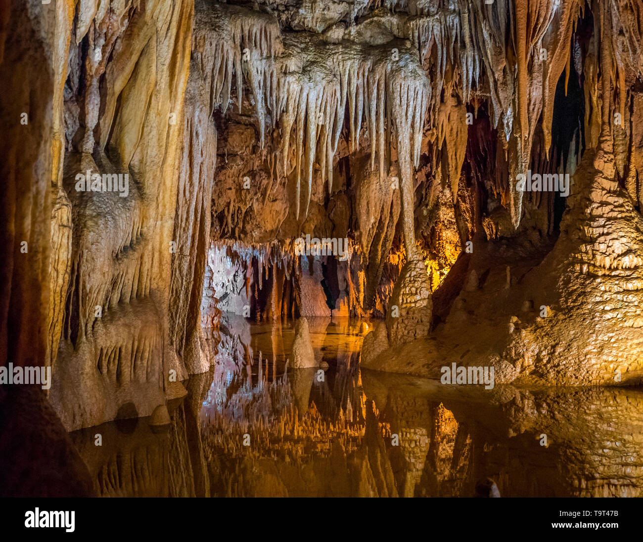 Jama Baredine, limestone cave, Nova Vas, Porec, Istrien, Croatia, Europe, Tropfsteinhöhle, Kroatien, Europa Stock Photo