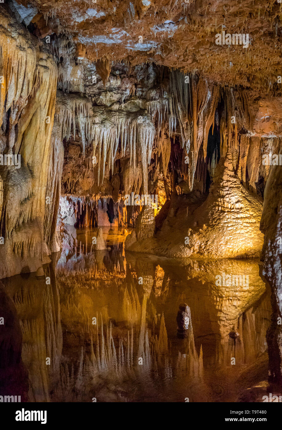 Jama Baredine, limestone cave, Nova Vas, Porec, Istrien, Croatia, Europe, Tropfsteinhöhle, Kroatien, Europa Stock Photo