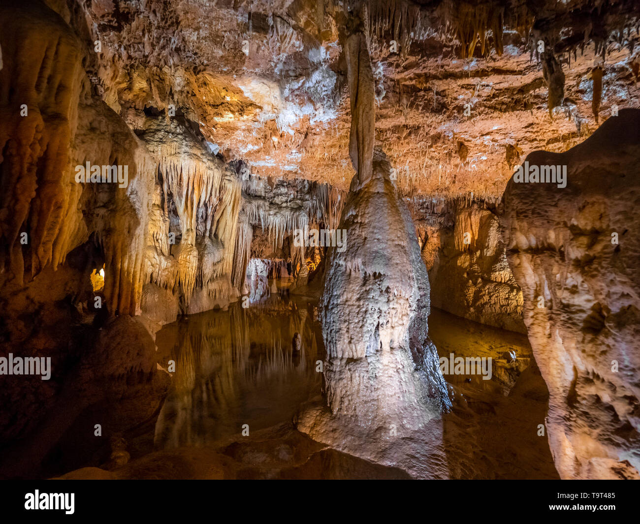 Jama Baredine, limestone cave, Nova Vas, Porec, Istrien, Croatia, Europe, Tropfsteinhöhle, Kroatien, Europa Stock Photo