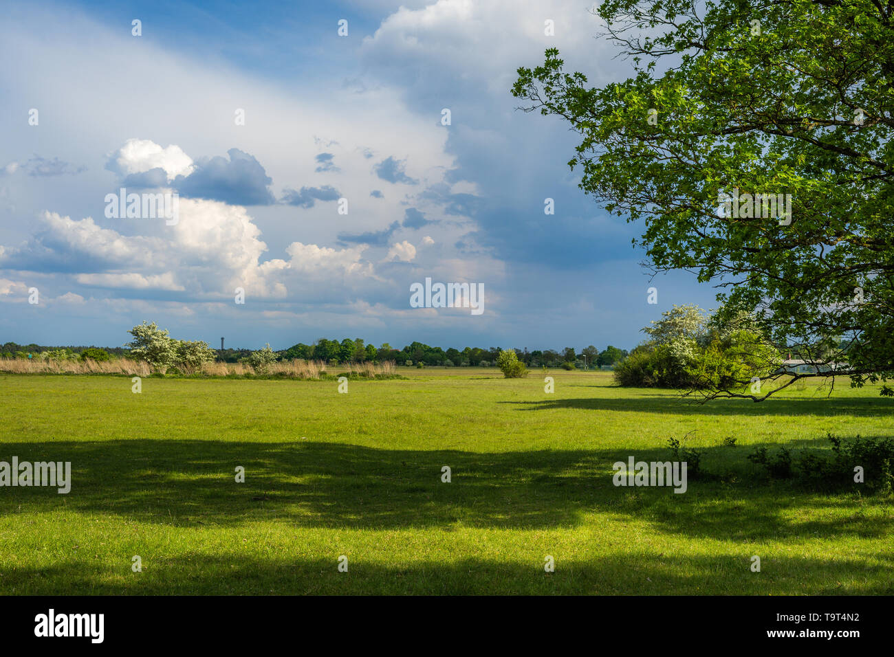 landscape view of a field with cloudy sky Stock Photo - Alamy