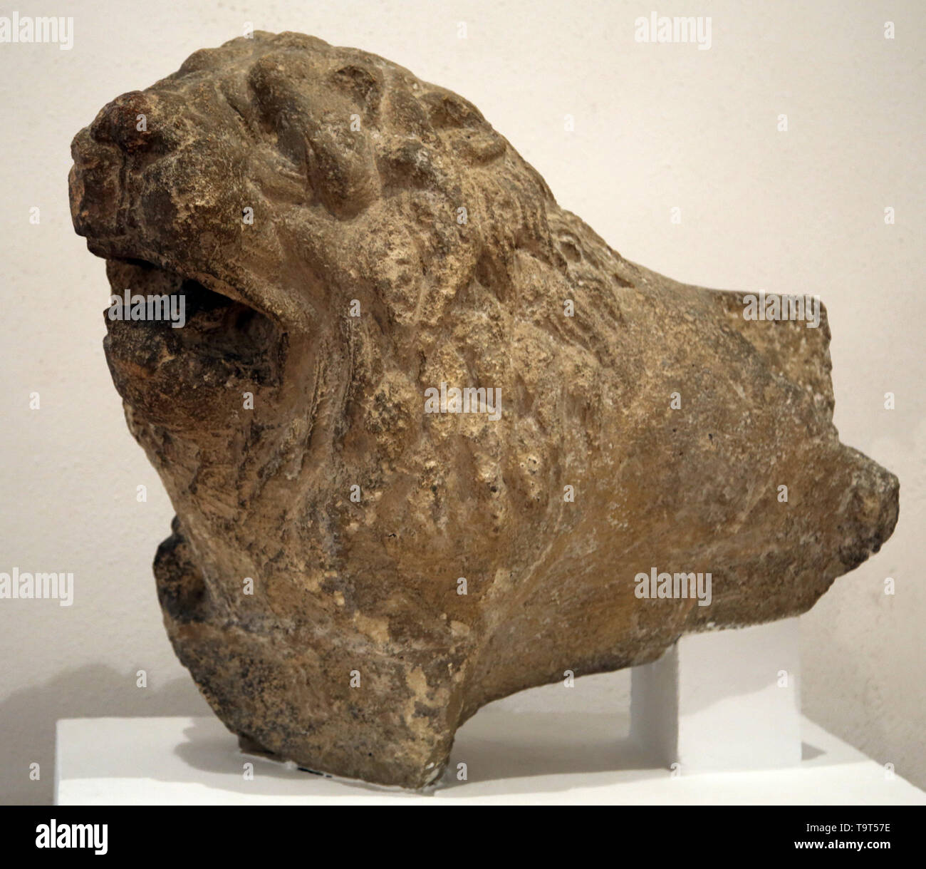 Iberian lion. Lebrija, Sevilla, Andalusia, Spain. Pre-roman peoples. Archaeological Museum of Seville. Spain. Stock Photo