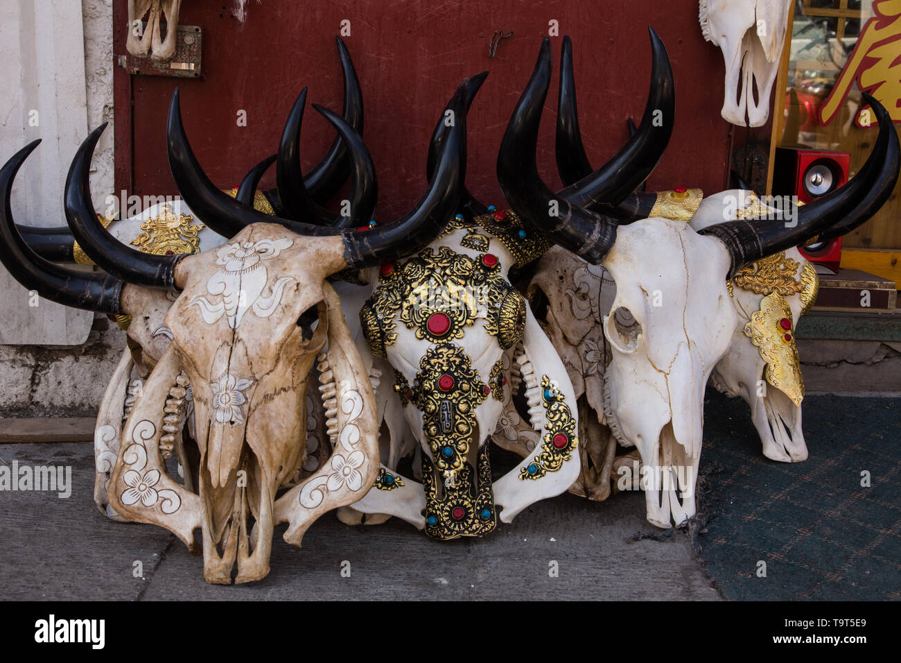 Yak skulls decorated with Buddhist symbols for sale on the street in