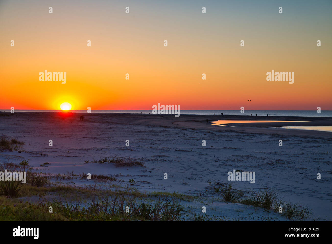 Golden sunrise horizon hi-res stock photography and images - Alamy