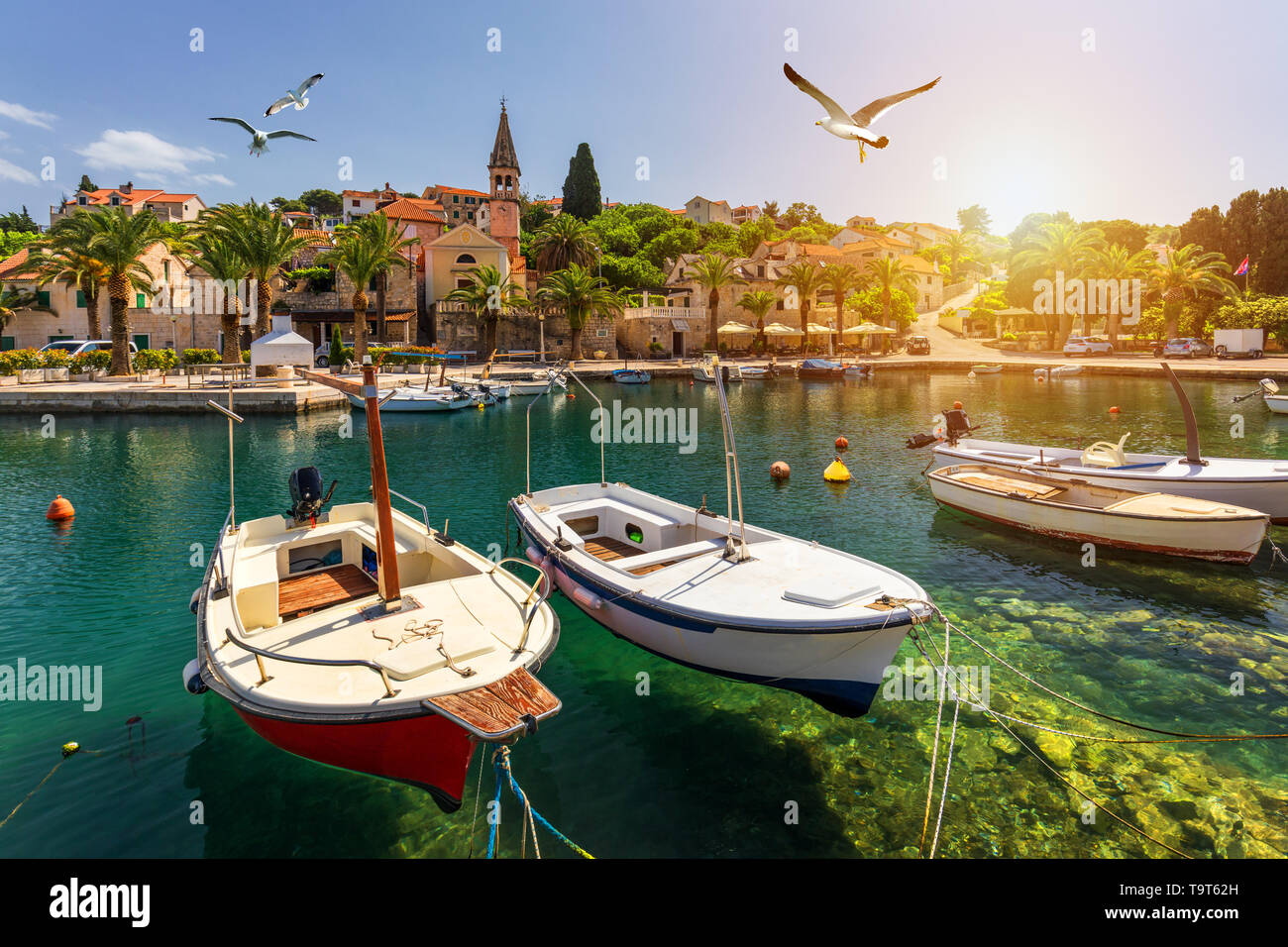 Splitska village with beautiful port and seagull's flying over the ...