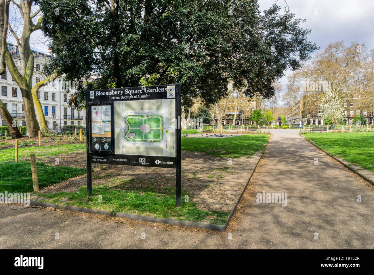 Bloomsbury Square was originally known as Southampton Square and was one of the earliest London squares being laid out in the late 17th century. Stock Photo