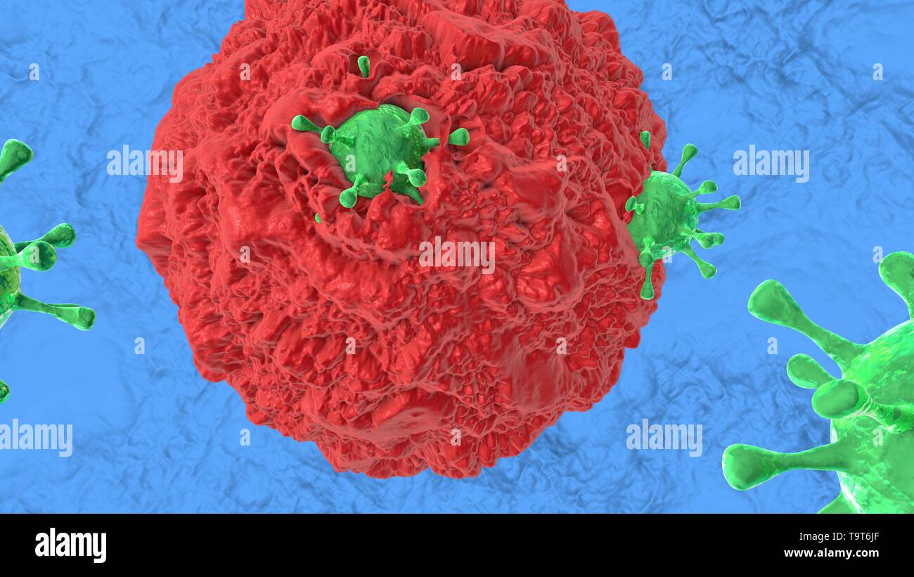 Human cytotoxic cell hi res stock photography and images Alamy