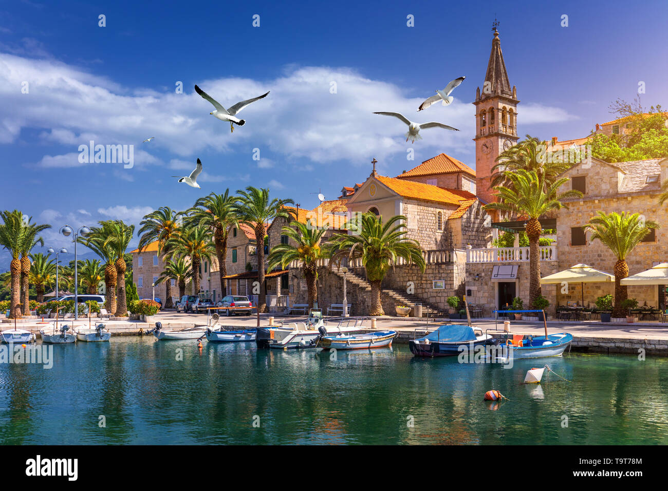 Splitska village with beautiful port and seagull's flying over the ...