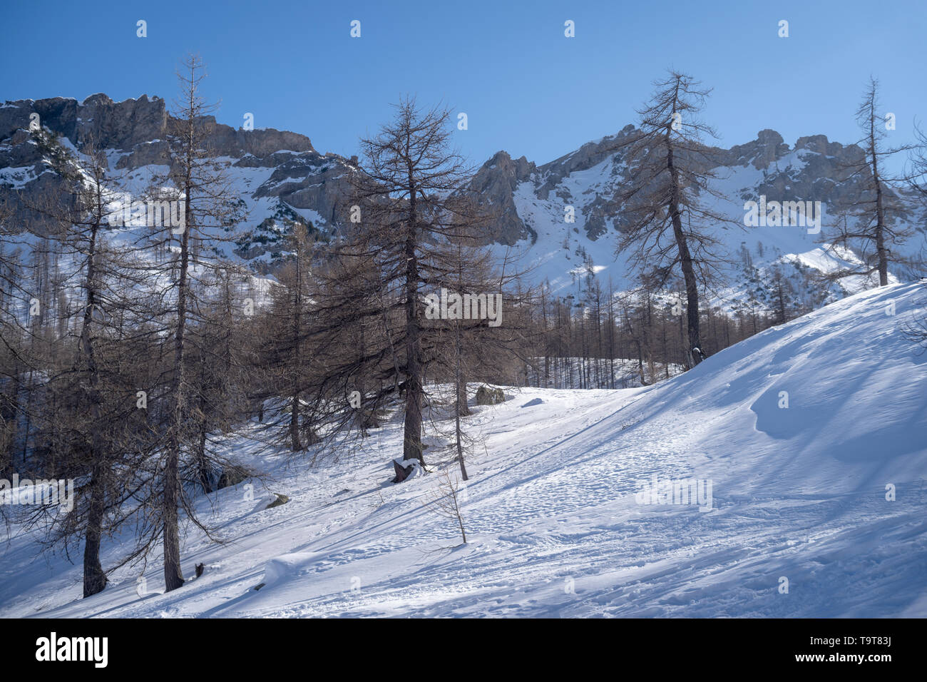 Maritime Alps, Mercantour National Park near Casterino, France Stock ...