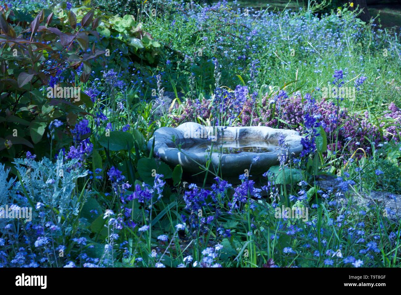 Lush garden with stone bird bath surrounded by lovely spring flowers Stock Photo