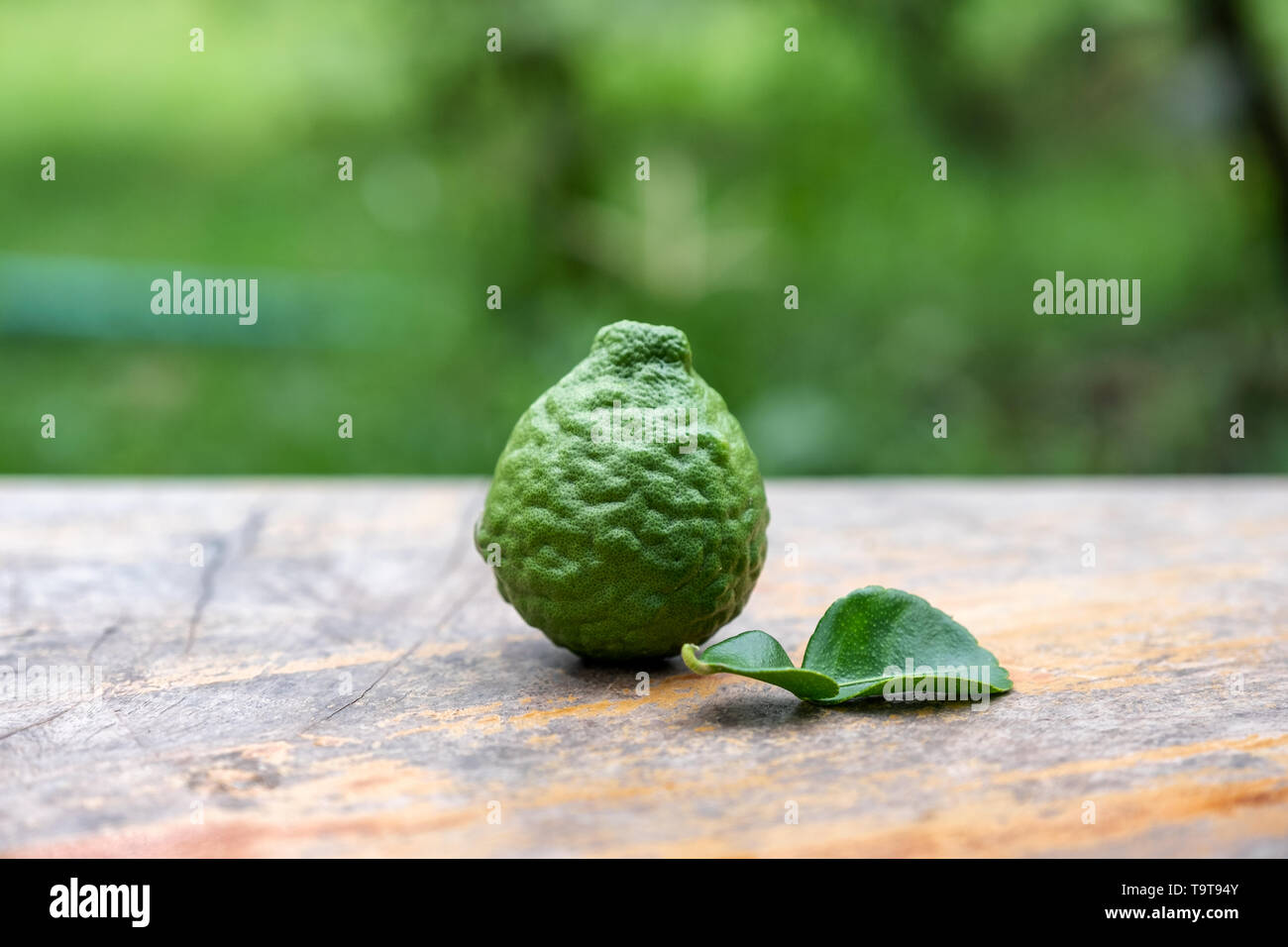 Bergamot fruit with leaf from garden on wooden table Stock Photo