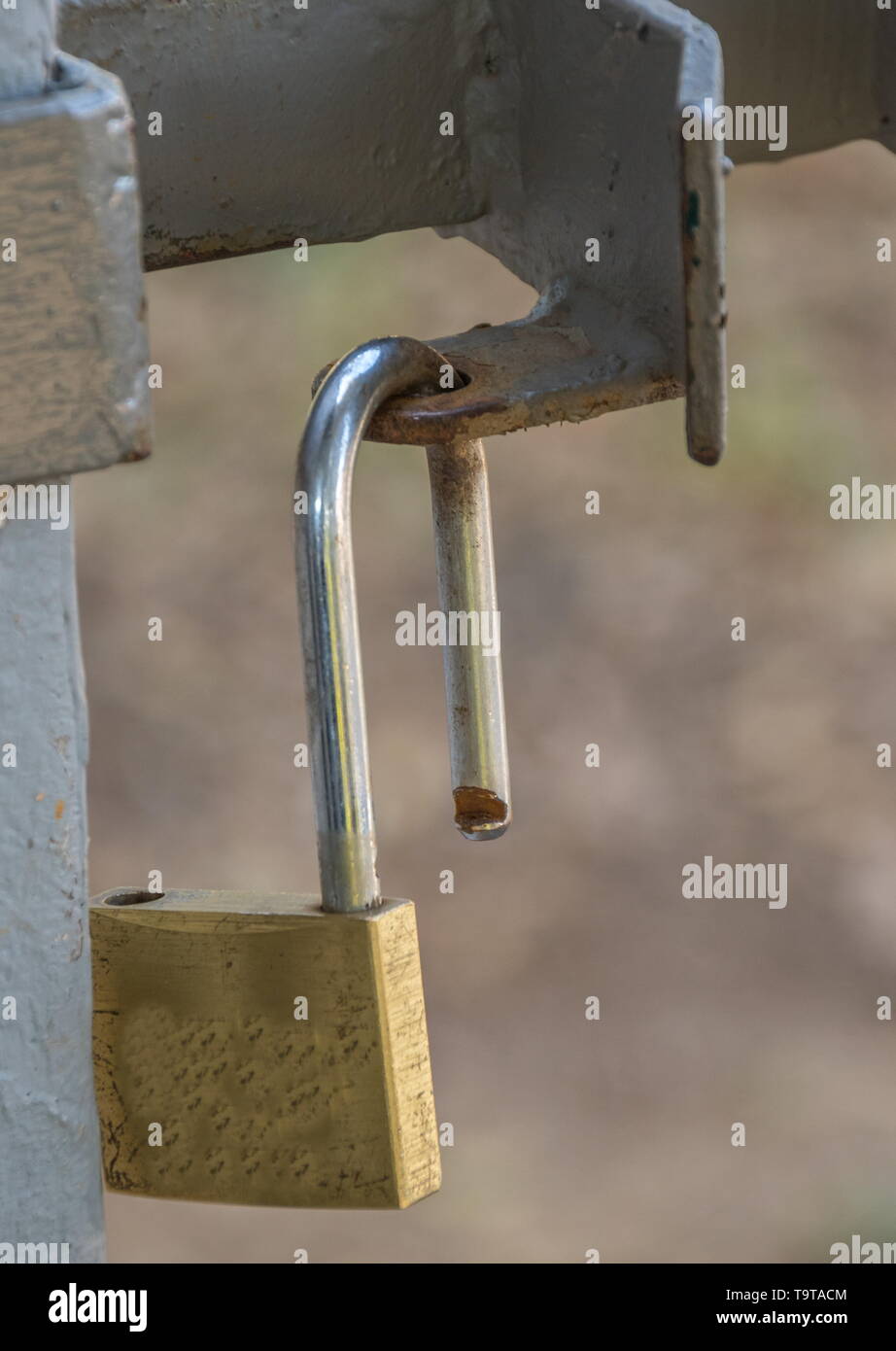 A brass colored padlock hangs from an open gate image with copy space in portrait format Stock Photo