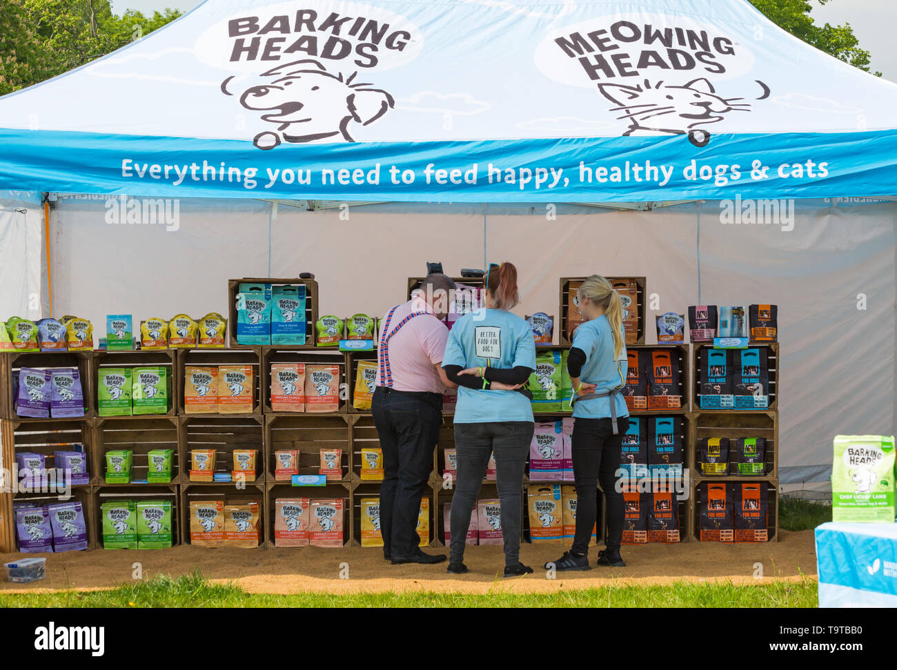 barking heads meowing heads