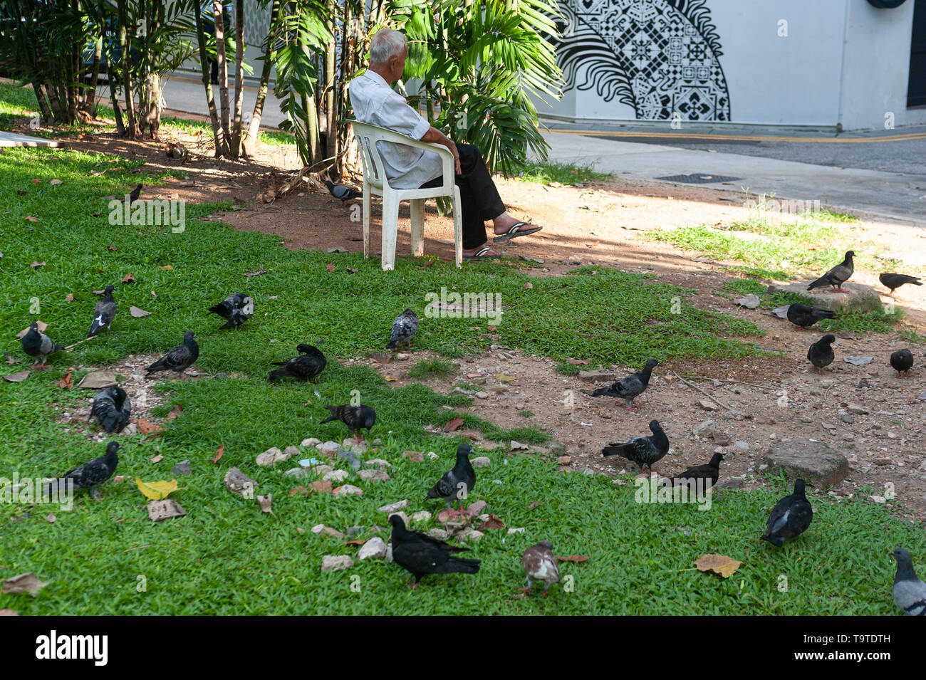 09.05.2019, Singapore, Republic of Singapore, Asia - A lonely old man is sitting on a chair in the city centre with pigeons on a lawn. Stock Photo