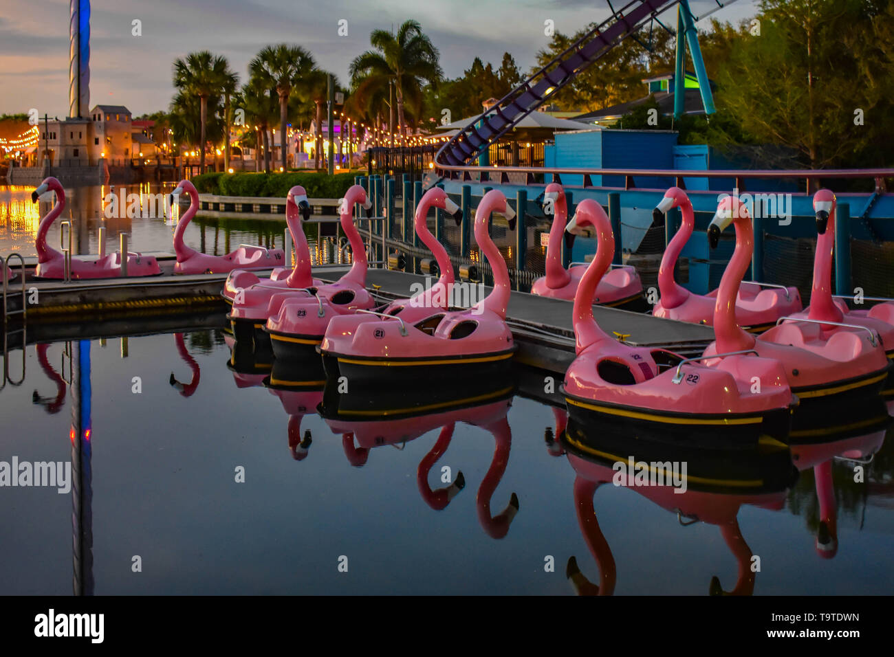 Orlando, Florida. March 09 2019.  Panoramic view of Flamingo's paddle boat and Mako rollercoaster at Seaworld in International Drive area (3) Stock Photo