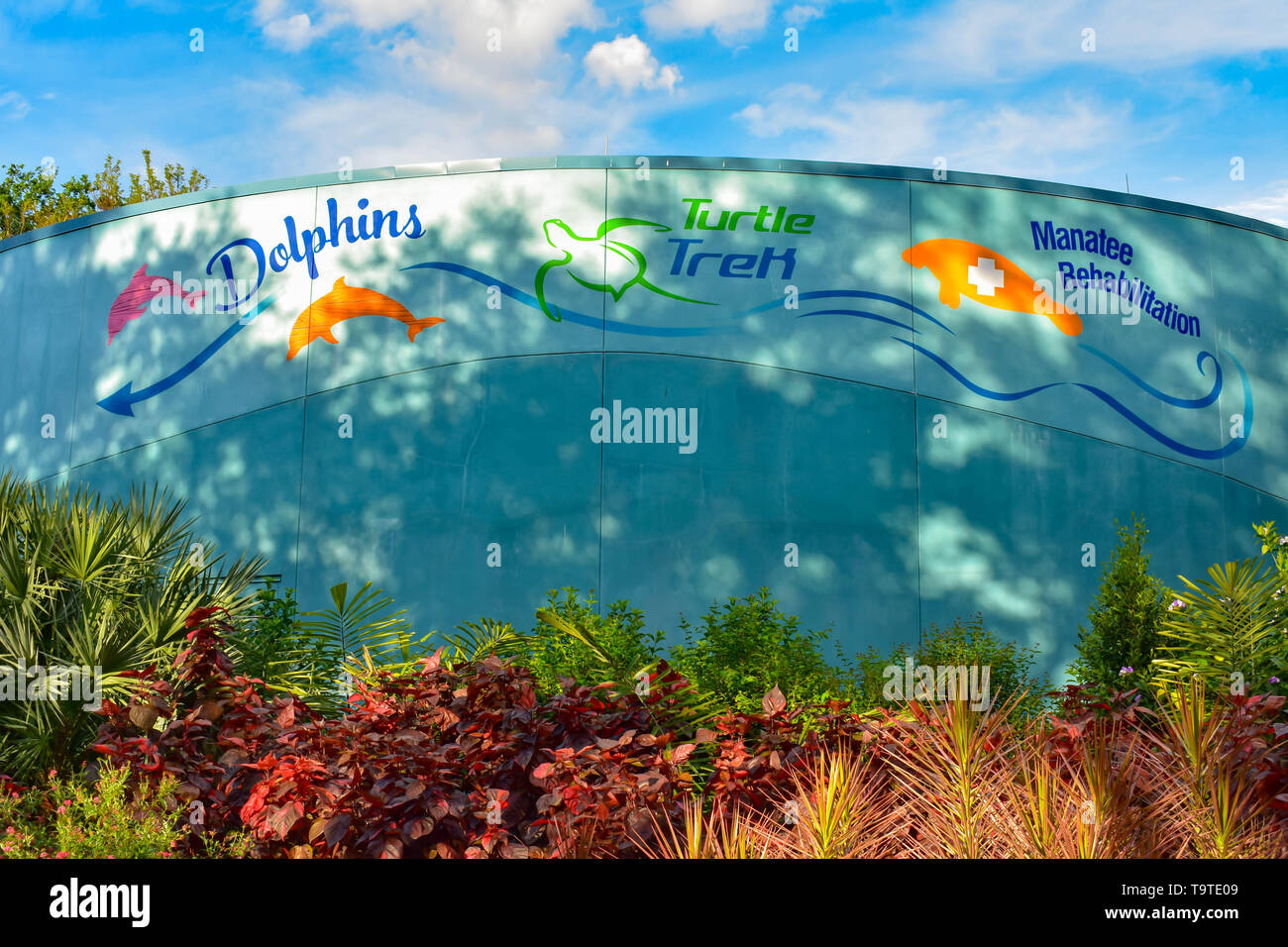 Florida manatee festival hi-res stock photography and images - Alamy