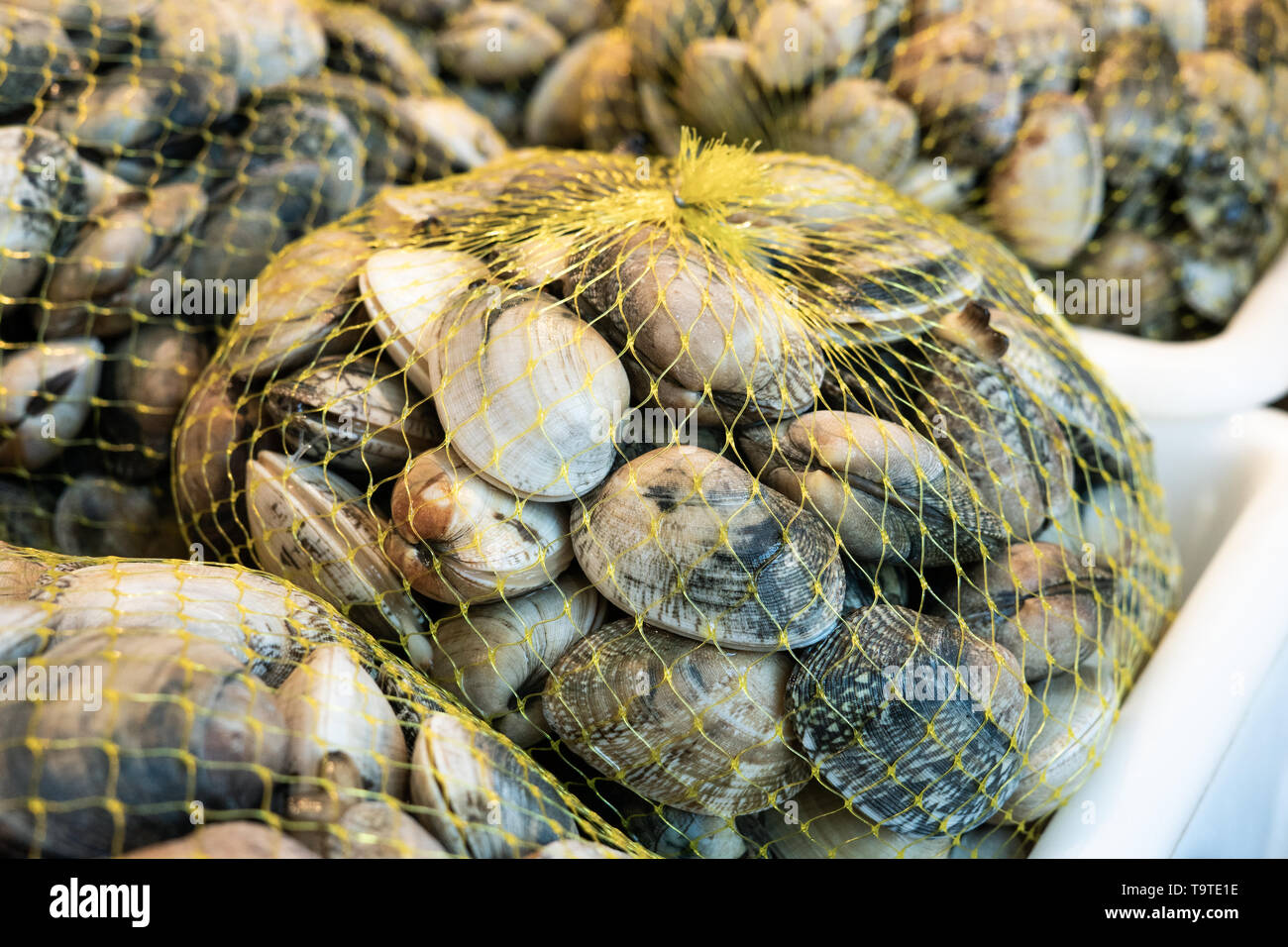 Galicia clams hires stock photography and images Alamy