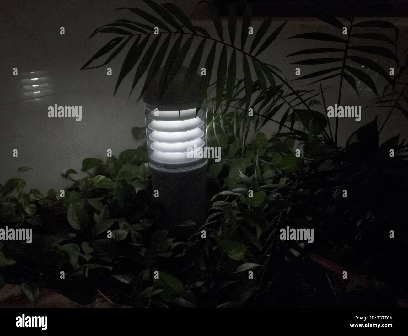 Modern garden lighting electrical halogen illuminator Stock Photo Alamy
