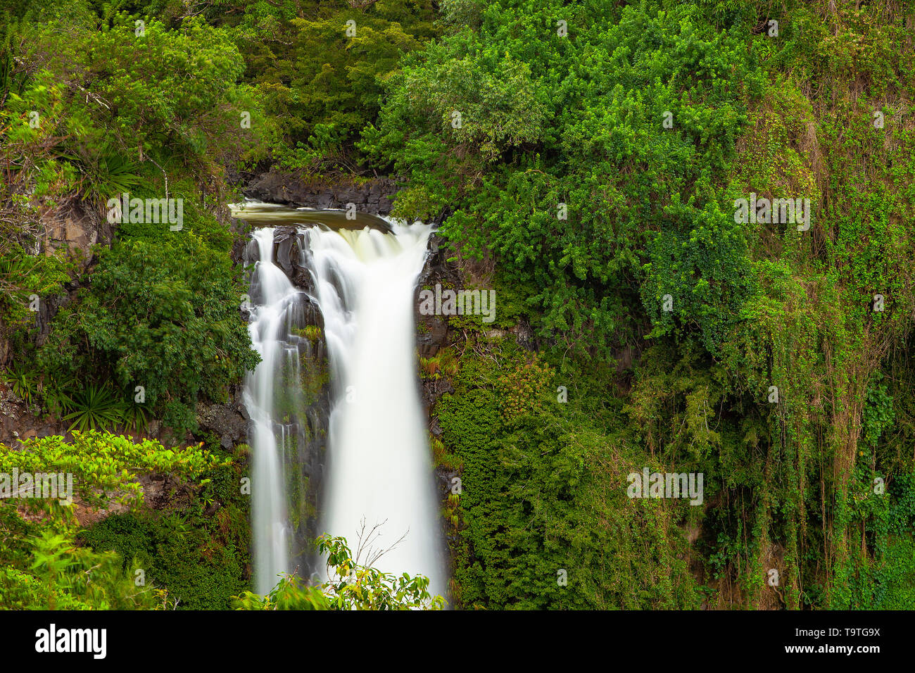 Falls at Makahiku, Haleakala National Park, Maui, Hawaii, USA Stock Photo